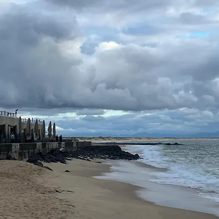 T3 Moderne Avec Terrasse, Piscine Et Parking Prive * Capbreton