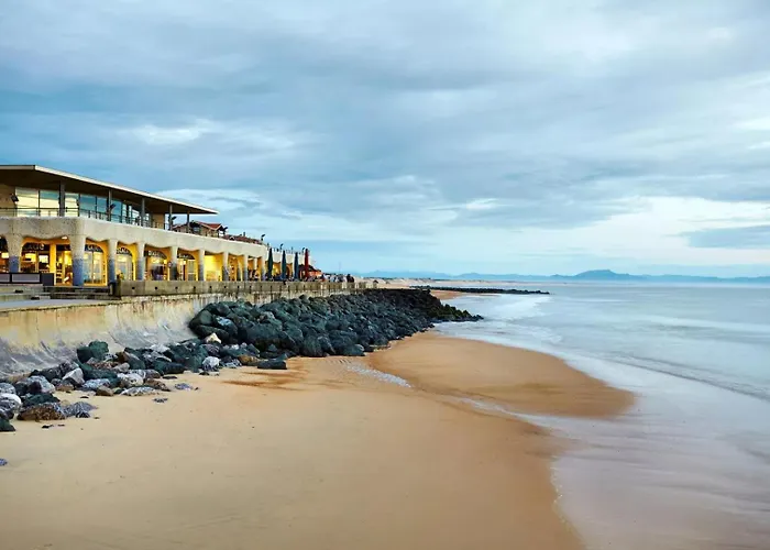 T3 Moderne Avec Terrasse, Piscine Et Parking Prive Capbreton